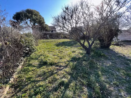 vedene terrain constructible