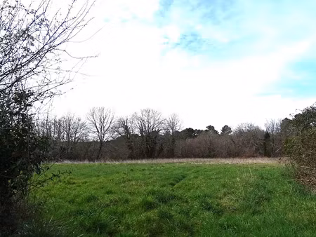 vente terrain 1283 m² à saint-front-de-pradoux (24400)  18 000 €