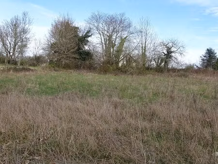 vente terrain 2503 m² à saint-front-de-pradoux (24400)  18 000 €