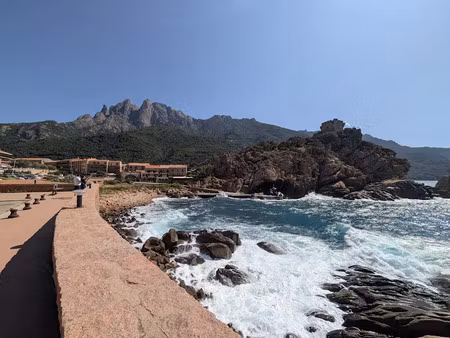 vente appartement 3 pièces 43 m² à ajaccio (20000)  135 000 €