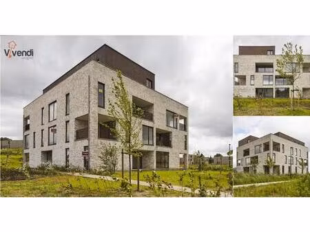 penthouse à vendre à molenstraat 63 weelde (rbs82648)