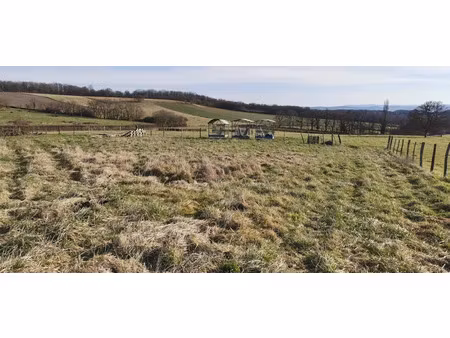 vente terrain 1598 m² à saint-sylvestre-pragoulin (63310)  49 000 €