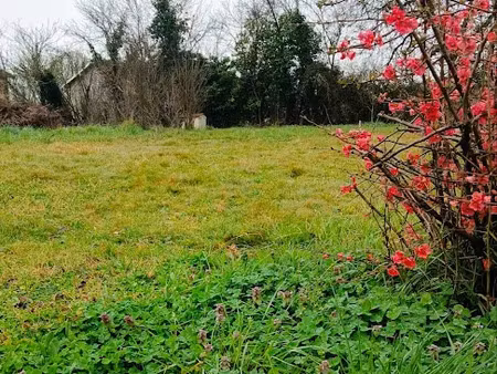 vente terrain 661 m² à saint-nauphary (82370)  58 000 €