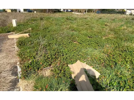 vente terrain à batir 779 m² à la ville-dieu-du-temple (82290)  63 000 €