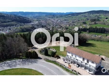 immeuble fraize m² t-16 à vendre  425 500 €