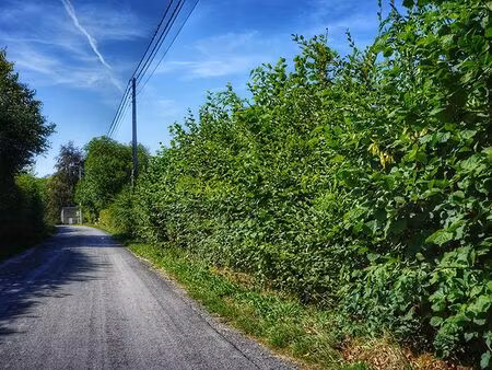 terrain en pente bien situé avec rive sur la rivière