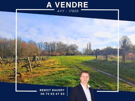 terrain non viabilisé avec vue dégagée - possibilité de fair