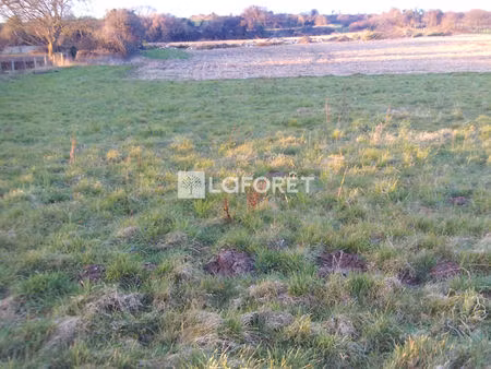 terrain près de maintenay à vendre