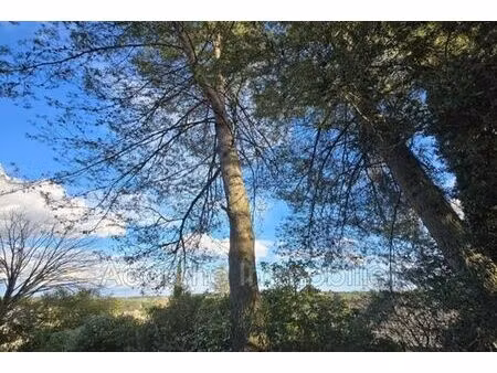 terrain de 1262 m2 en vente - clapiers  occitanie