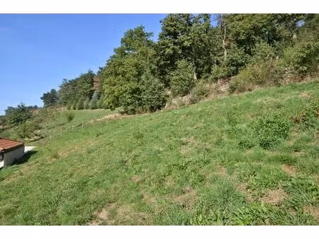 vente terrain 655 m² pomeys (69590)