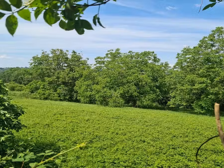 vente terrain 1731 m² à les eyzies (24620)  31 000 €