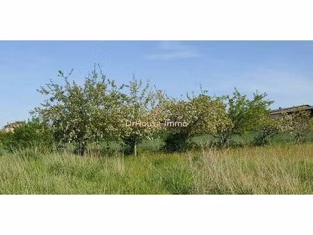 terrain jardin de 4260m²