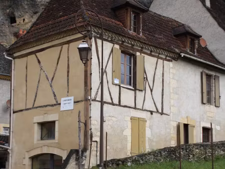 vente locaux professionnels 6 pièces 155 m² à les eyzies (24620)  148 400 €