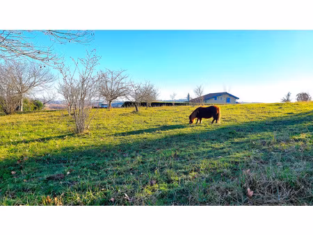 guiche - terrain plat sur les hauteurs