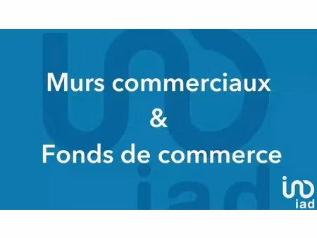 vente bureaux et commerces à sainte-gemme (17250) : à vendre / 600m² sainte-gemme