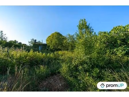 vente terrain 11000 m² clairac (47320)