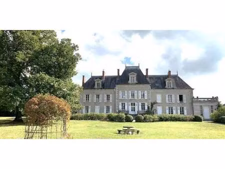 château saint-pierre-le-moûtier (58)