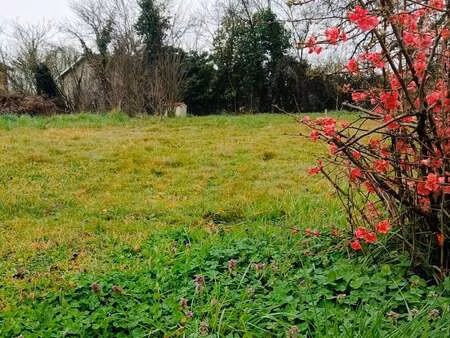 vente terrain à saint-nauphary (82370) : à vendre / 661m² saint-nauphary