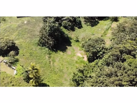 vente terrain 2903 m² à sainte marie (97230)  220 000 €