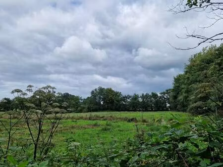 vente terrain à hambye (50450) : à vendre / 53971m² hambye