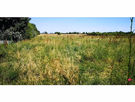 terrain genas 477 m2