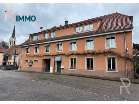 vente immeuble 10 pièces