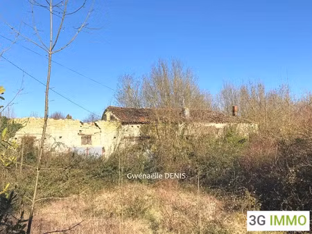 vente maison à paizay-le-chapt (79170) : à vendre / 250m² paizay-le-chapt