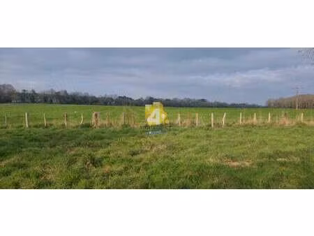 vente terrain à missillac (44780) : à vendre / 984m² missillac