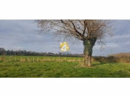 vente terrain à missillac (44780) : à vendre / 997m² missillac