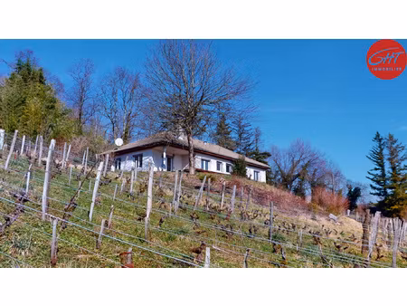 domaine viticole exceptionnel