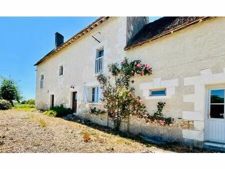 vente maison 7 pièces 195 m² saint-jean-saint-germain (37600)