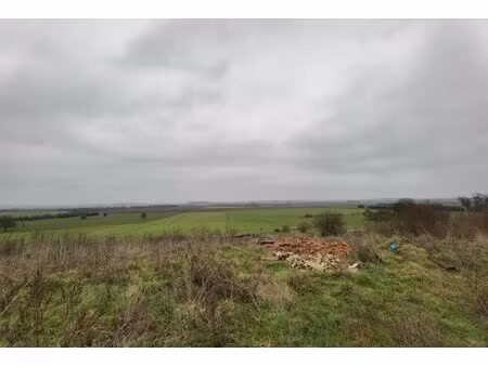 a vendre terrain constructible de +/- 32 ares à gouraincourt 55230