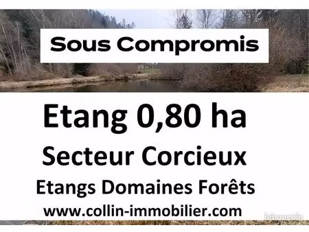 terrain 8000 m² corcieux