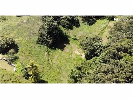 terrain 2903 m² sainte-marie