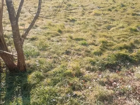 terrain borné de 625m2 en zone 30 a evette