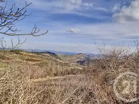 terrain à vendre - 5000 m2 - st vidal - 43 - auvergne