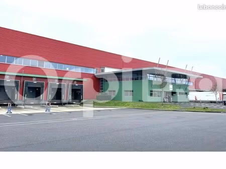local logistique 25 985 m²