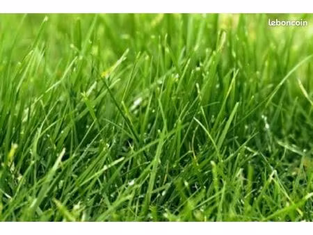 terrain 590 m² fontenilles