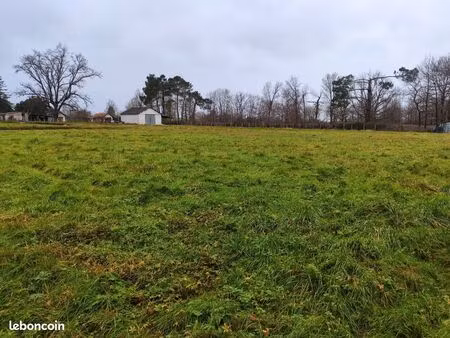 terrain constructible