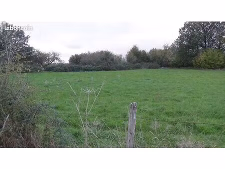 vente terrain construtible