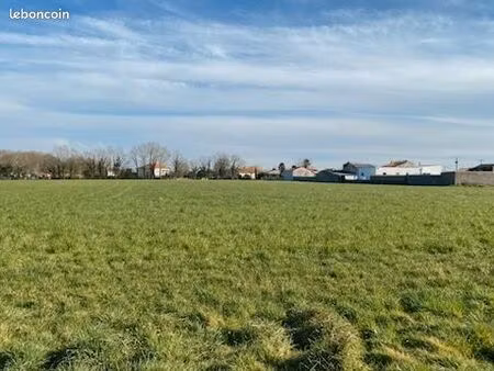 terrain vieillevigne