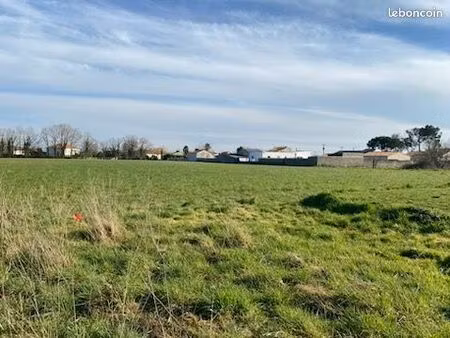 terrain vieillevigne