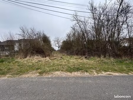 terrain 1437 m² hambach