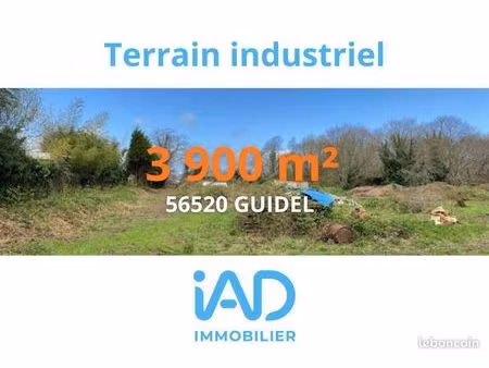 murs commerciaux 3901 m² guidel