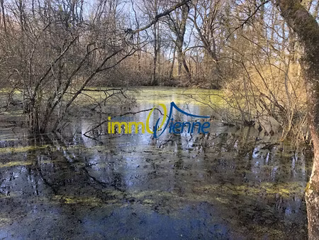 vente terrain 56600 m² à usson-du-poitou (86350)  23 000 €