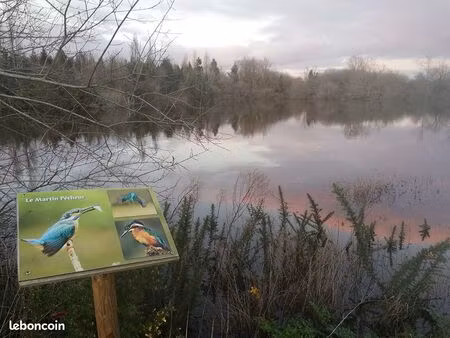 local 500 m² missillac