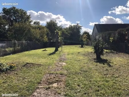 terrain constructible