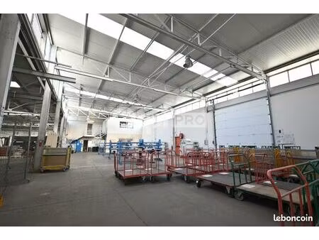 local d'activité 932 m²