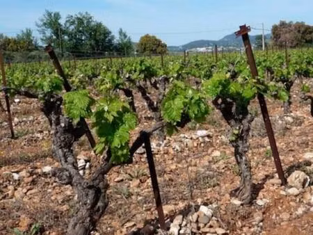 exploitation agricole  cave réalisée en pierres du gard 400 m2 sur 9 5ha de vignes
