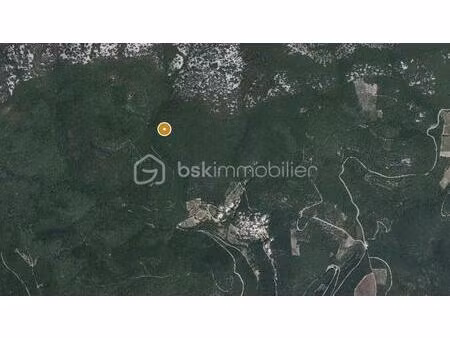 terrain boisé plus de 4 hectares